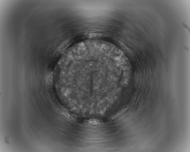 X0000096710475200803041345