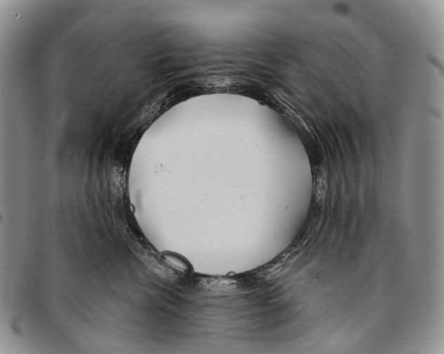 X0000096710476200803041345