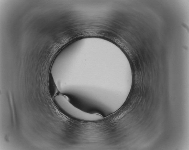 X0000096710481200803041344