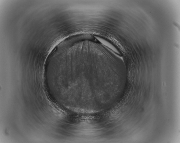 X0000096710484200803041344