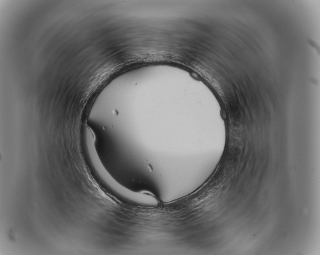 X0000096710485200803041344