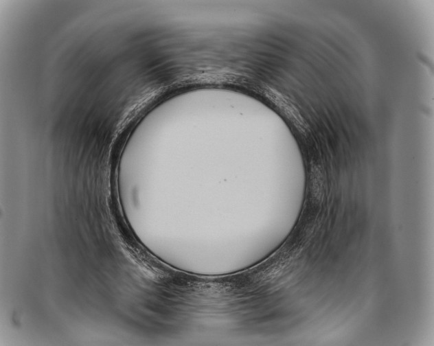 X0000096710486200803041344