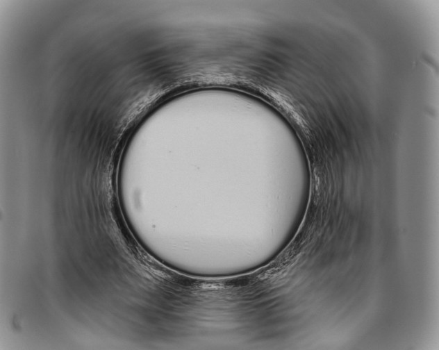 X0000096710487200803041344