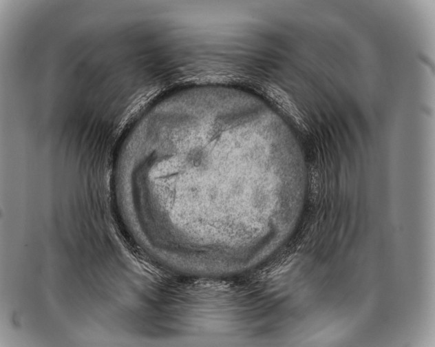 X0000096710491200803041344