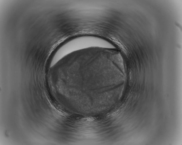 X0000096710492200803041344