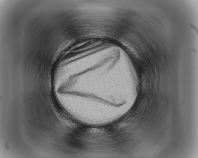 X0000096710494200803041344