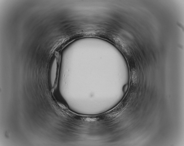 X0000096710495200803041344