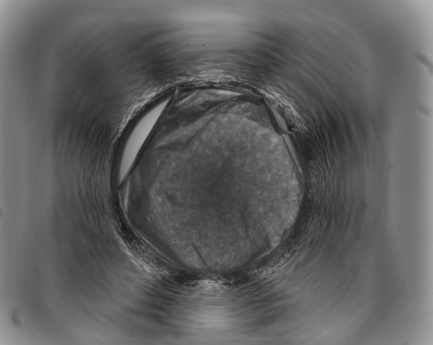 X0000096710496200803041344