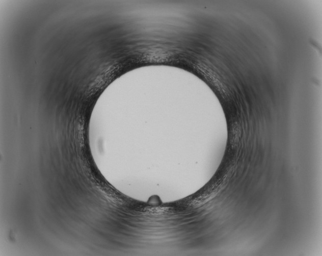 X0000096710497200803041344