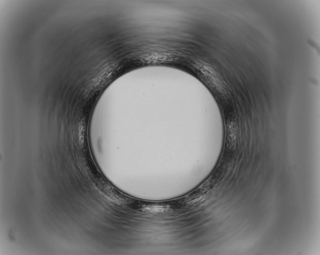 X0000096710499200803041344