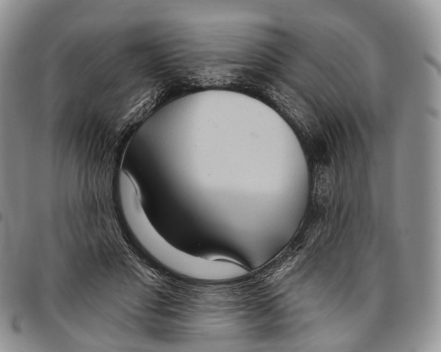 X0000096710501200803041344