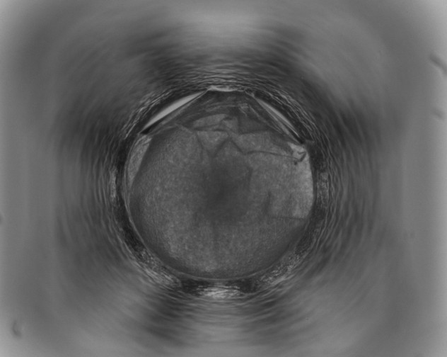 X0000096710504200803041344