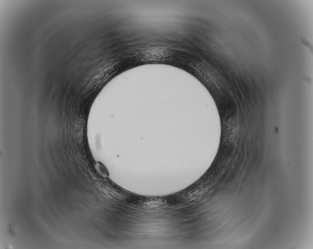 X0000096710505200803041344