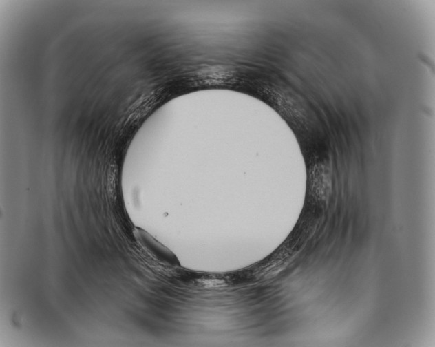 X0000096710509200803041344