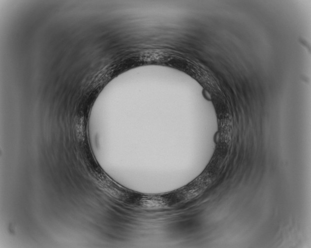 X0000096710510200803041344