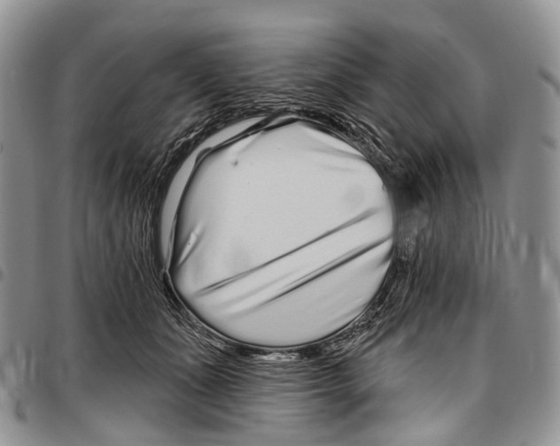 X0000096710511200803041344