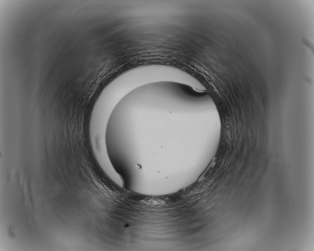 X0000096710512200803041344