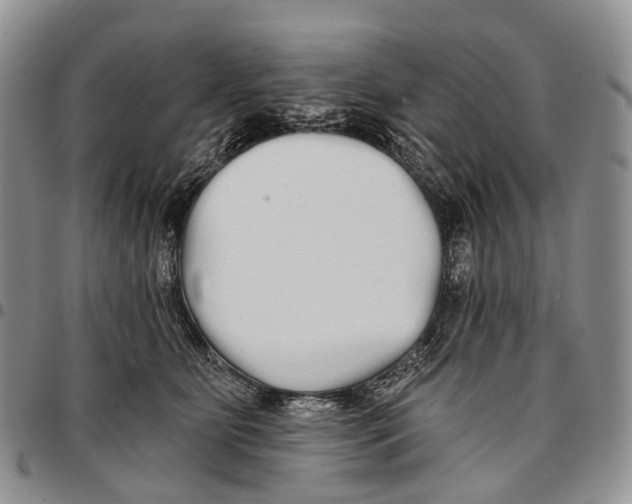 X0000096710515200803041344