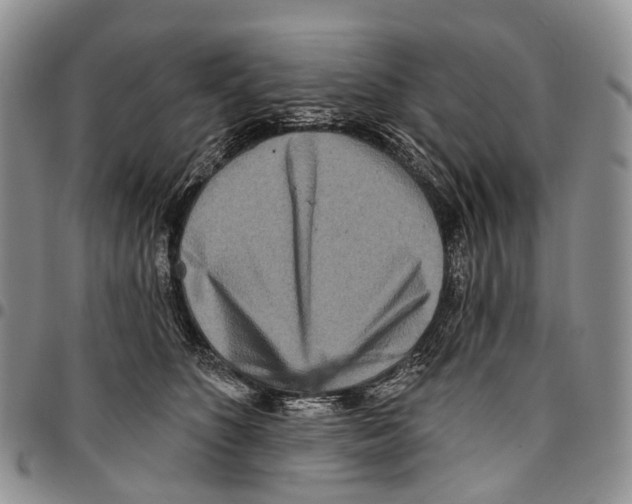 X0000096710516200803041344