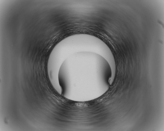 X0000096710520200803041344