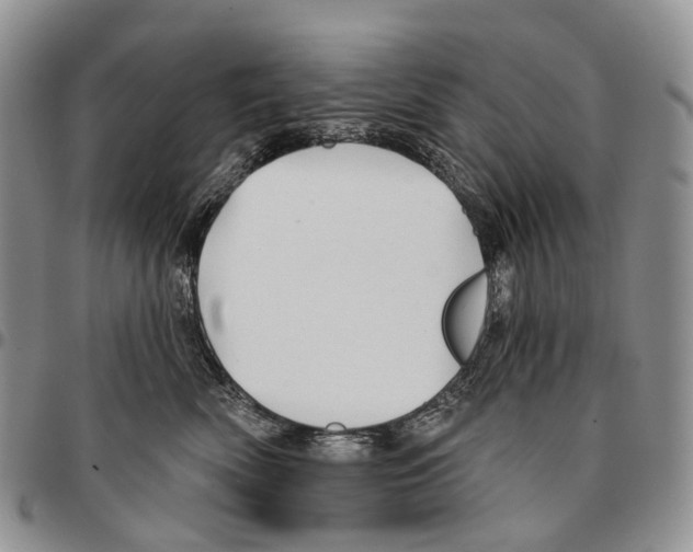 X0000096710522200803041344