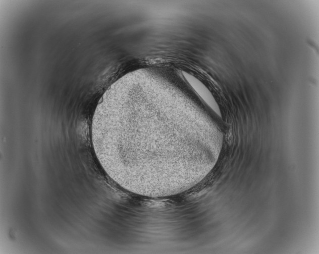 X0000096710523200803041344