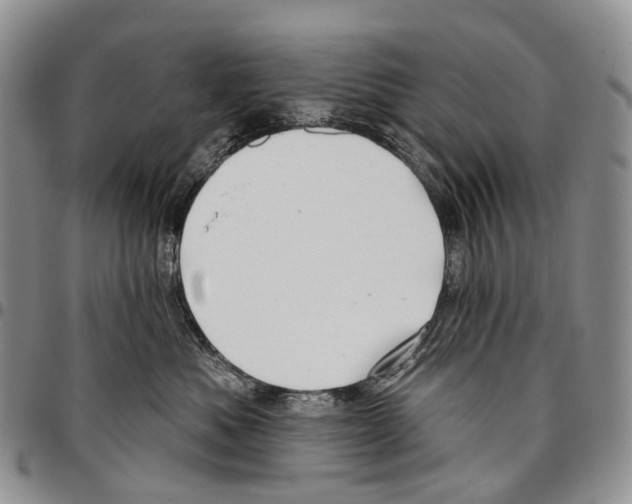 X0000096710525200803041344