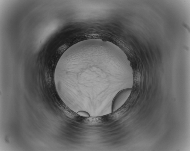 X0000096710526200803041344