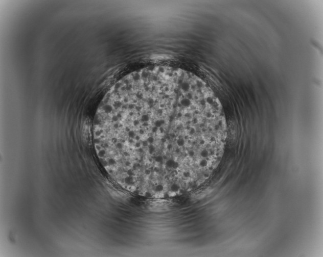 X0000096710527200803041344