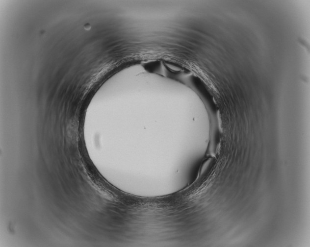 X0000096710530200803041343