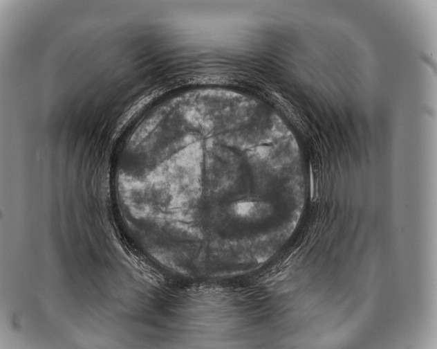 X0000096710531200803041343