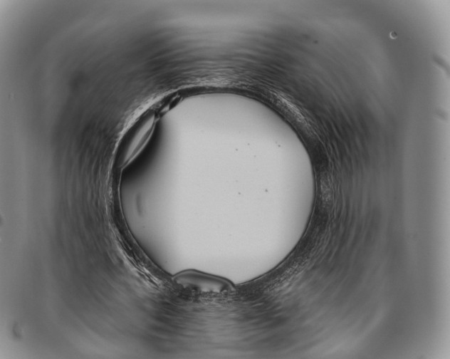 X0000096710532200803041343