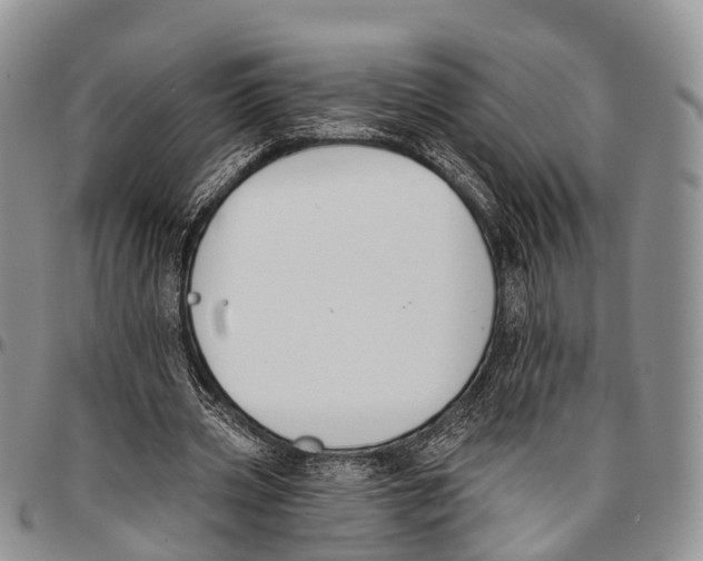 X0000096710533200803041343