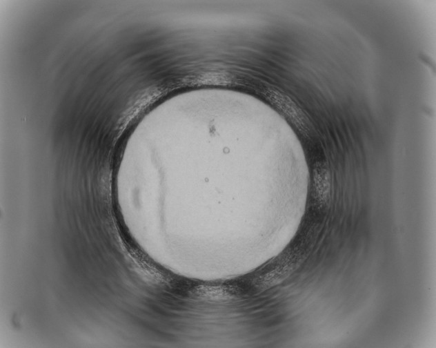 X0000096710534200803041343