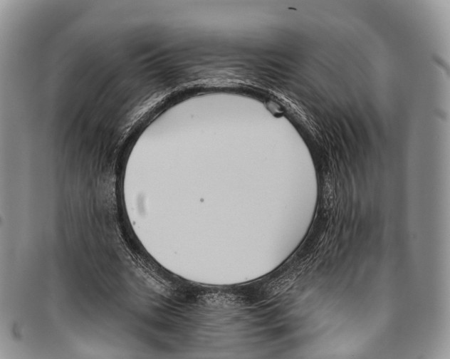 X0000096710535200803041343