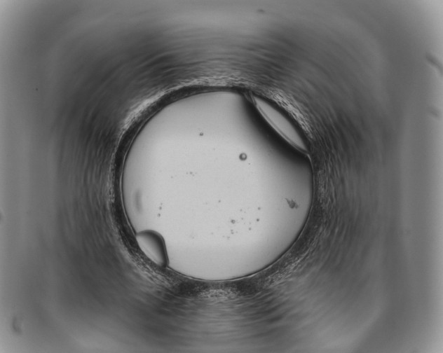 X0000096710536200803041343