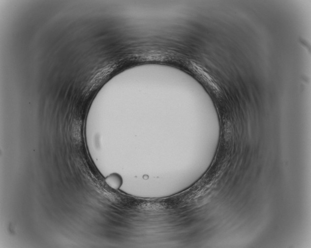 X0000096710537200803041343