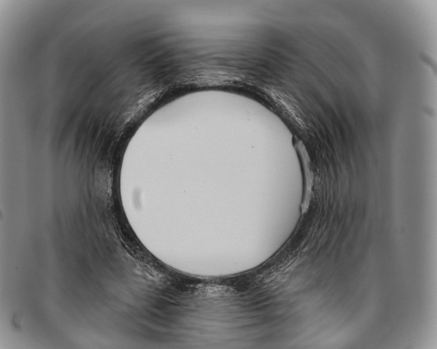 X0000096710539200803041343