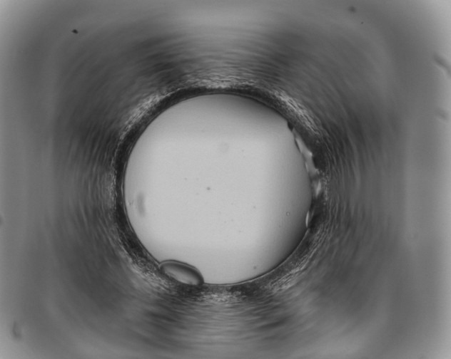 X0000096710540200803041343