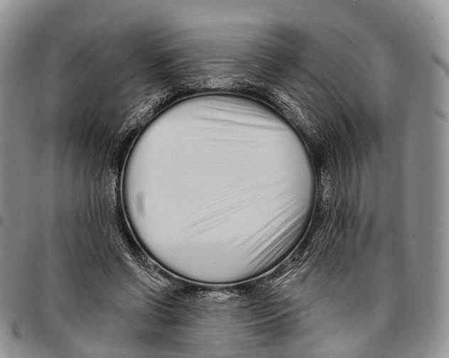 X0000096710542200803041343