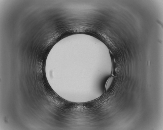 X0000096710543200803041343