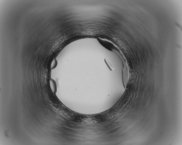 X0000096710544200803041343