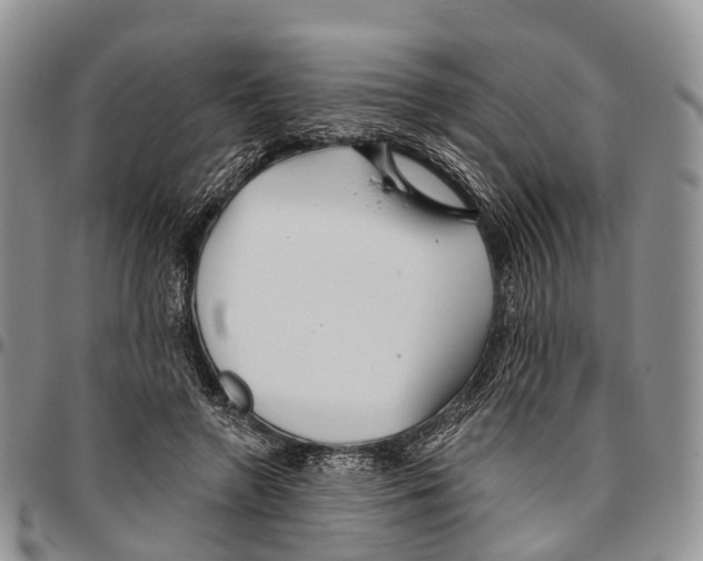 X0000096710546200803041343