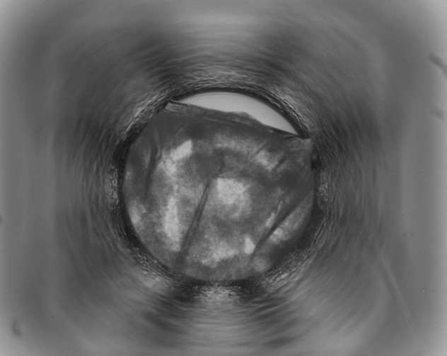 X0000096710547200803041343