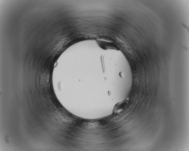 X0000096710548200803041343