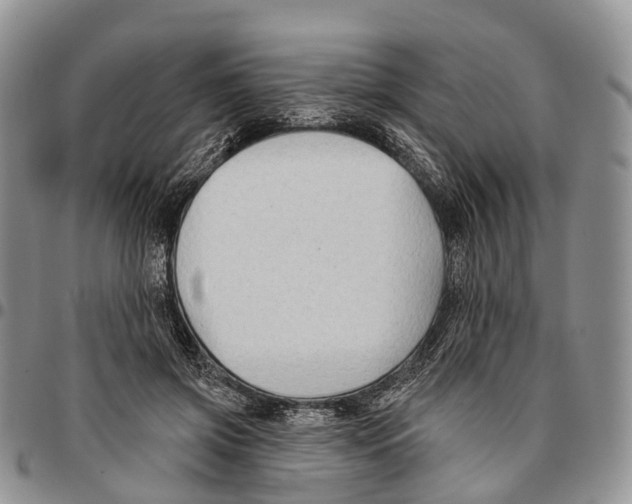 X0000096710549200803041343