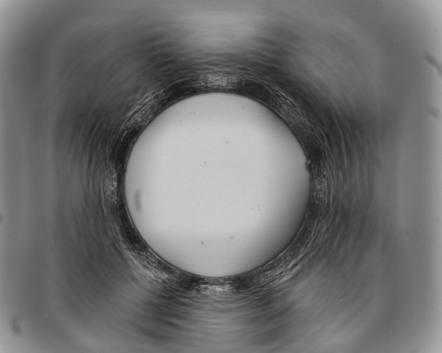 X0000096710552200803041343