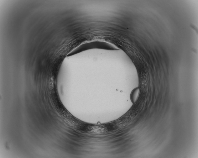 X0000096710555200803041343