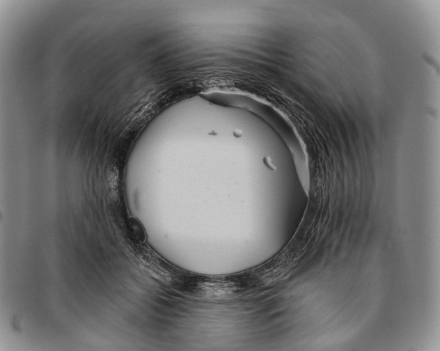 X0000096710556200803041343