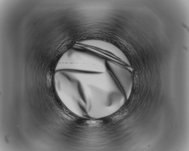 X0000096710558200803041343